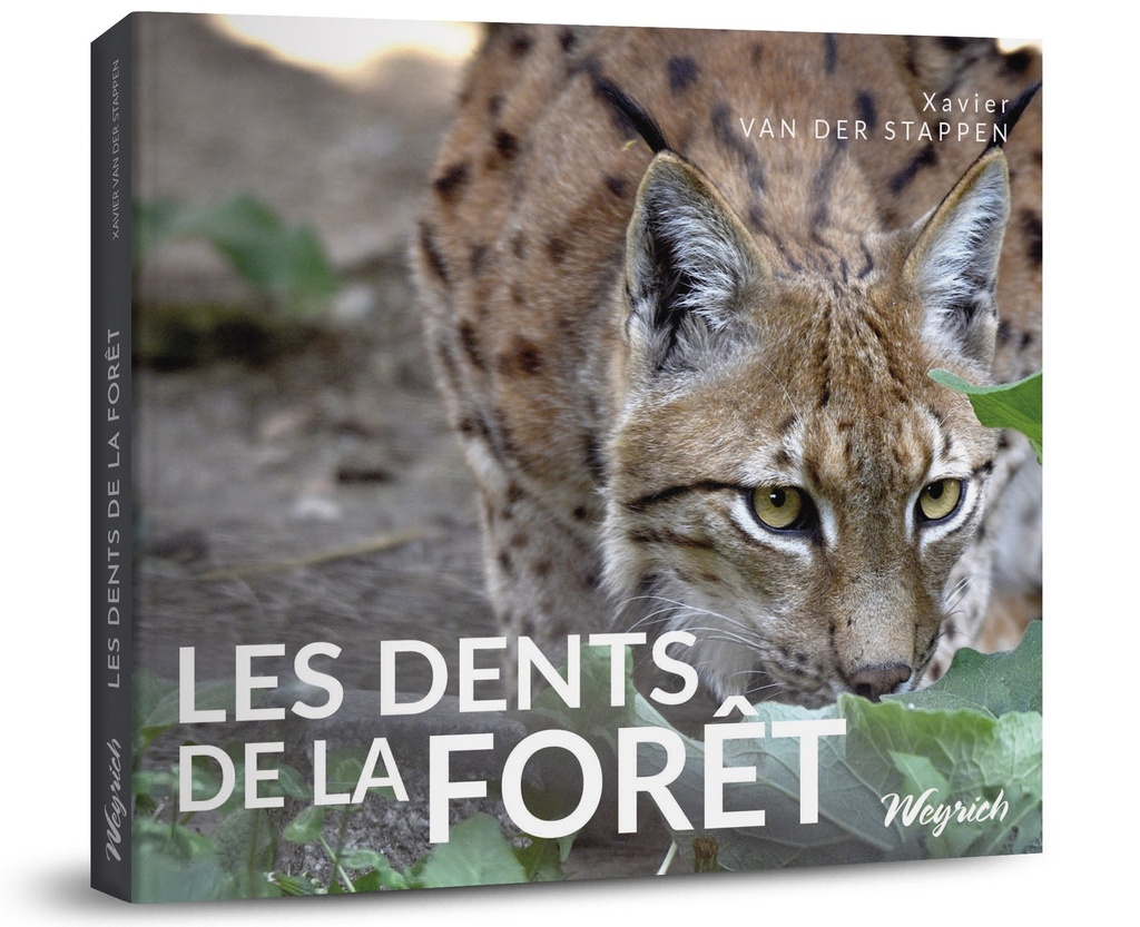 [SHOP-LIV-120] Les dents de la forêt - Xavier Van der Stappen